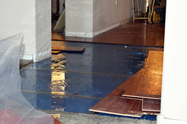 Professional Water Damage Repair technician working in Rice, TX